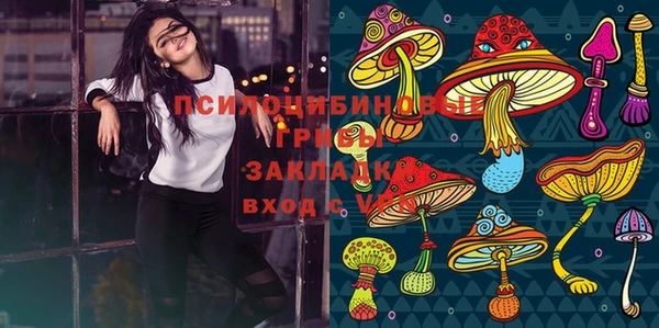 стафф Волоколамск
